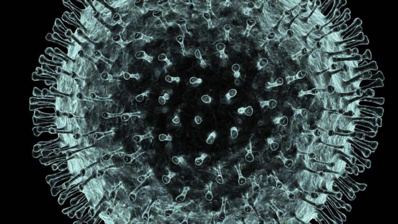 Computer artwork of the coronavirus ©Science Photo Library PASIEKA
