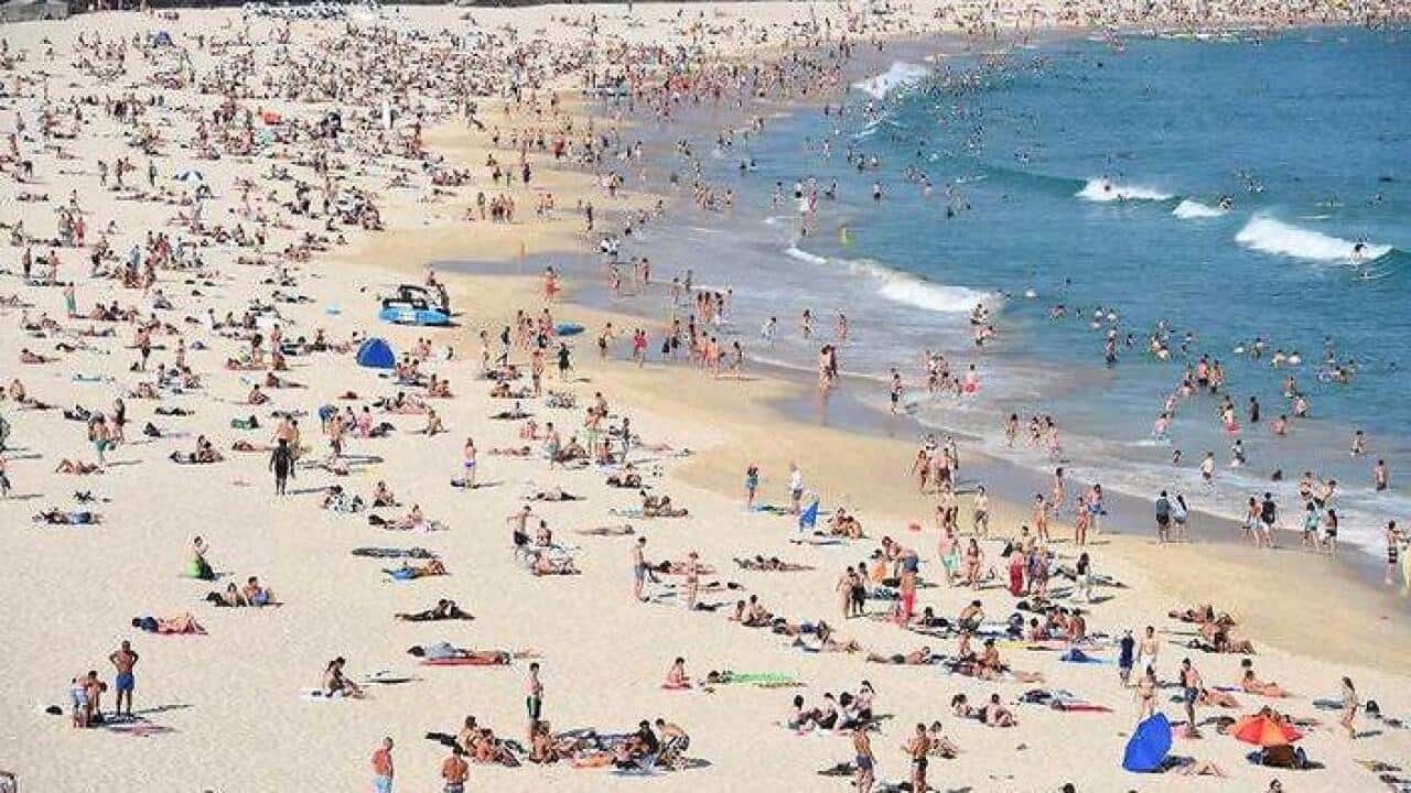 swimming pool beaches Australia