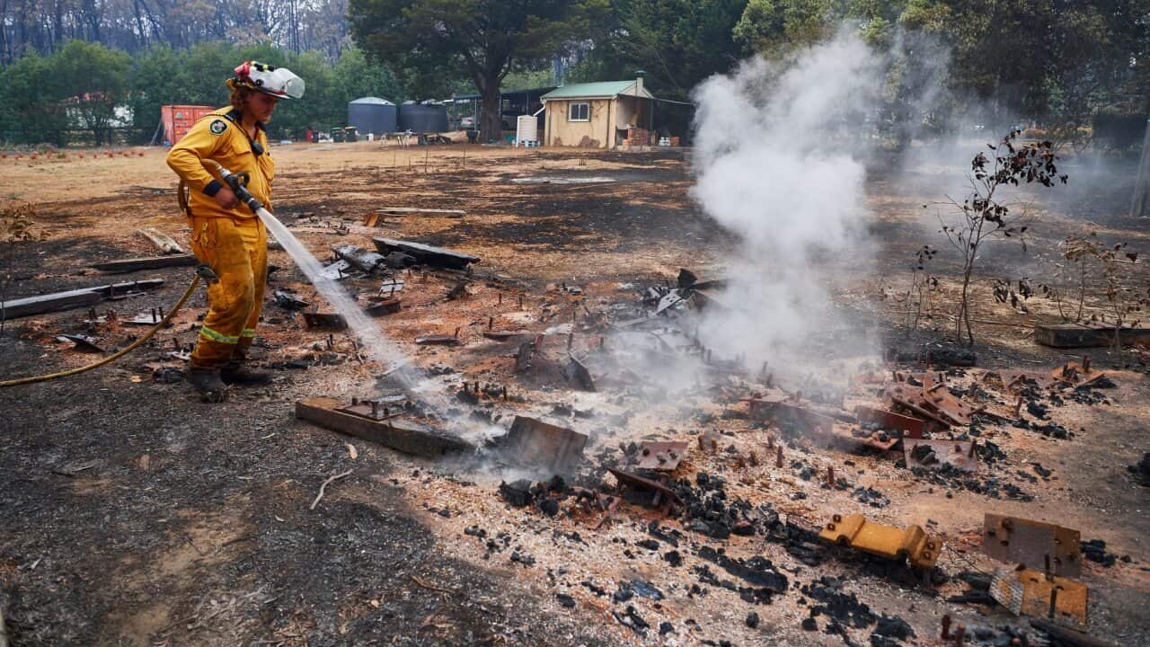 Image for read more article 'READ MORE'