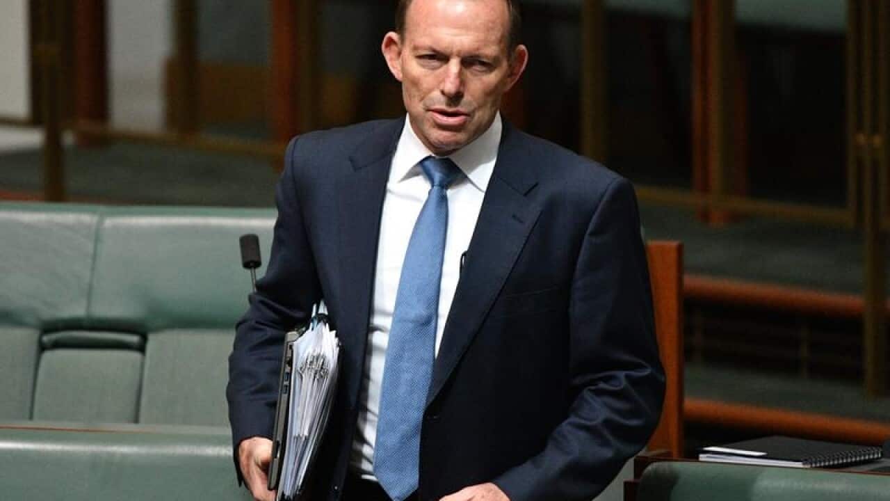 Former prime minister Tony Abbott during Question Time.