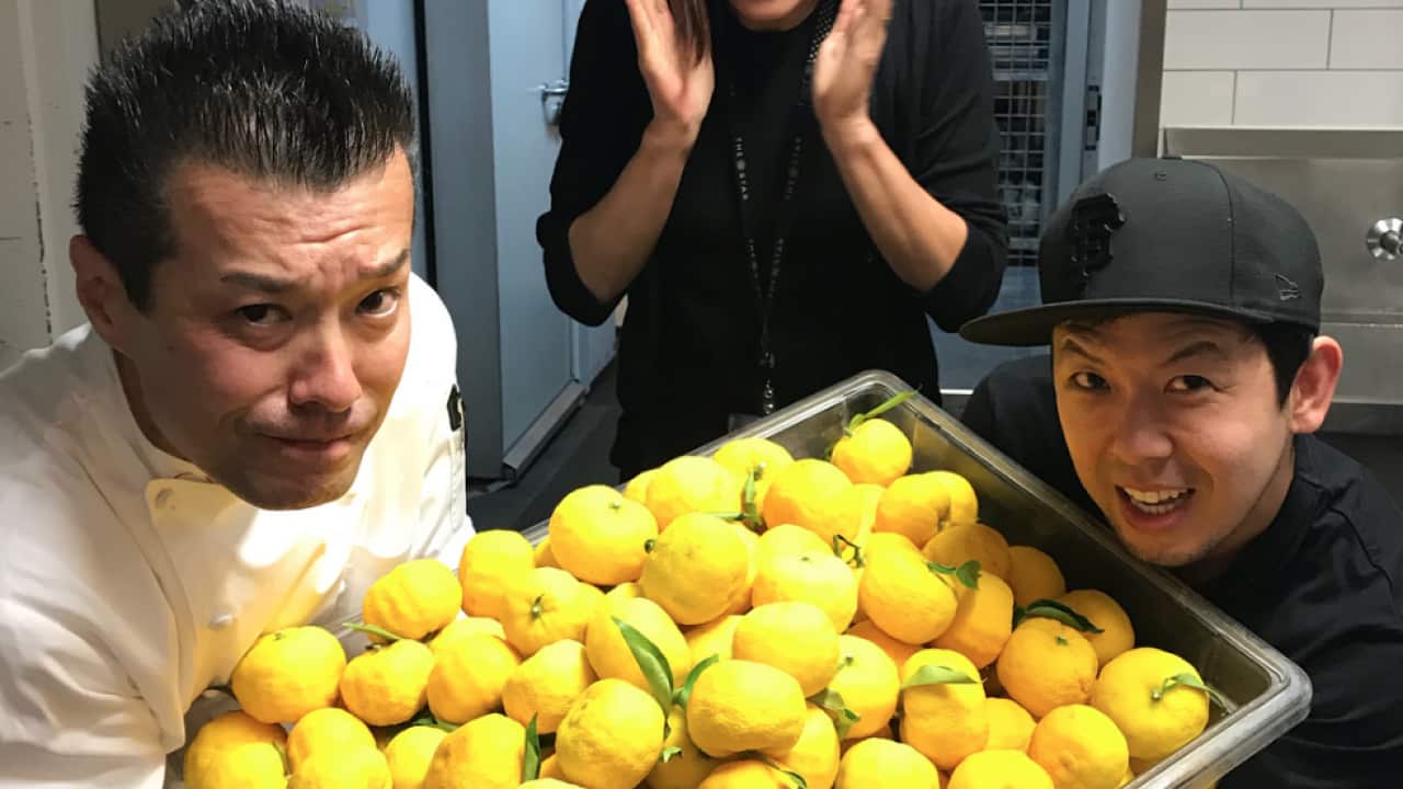 Yuzu citrus fruit