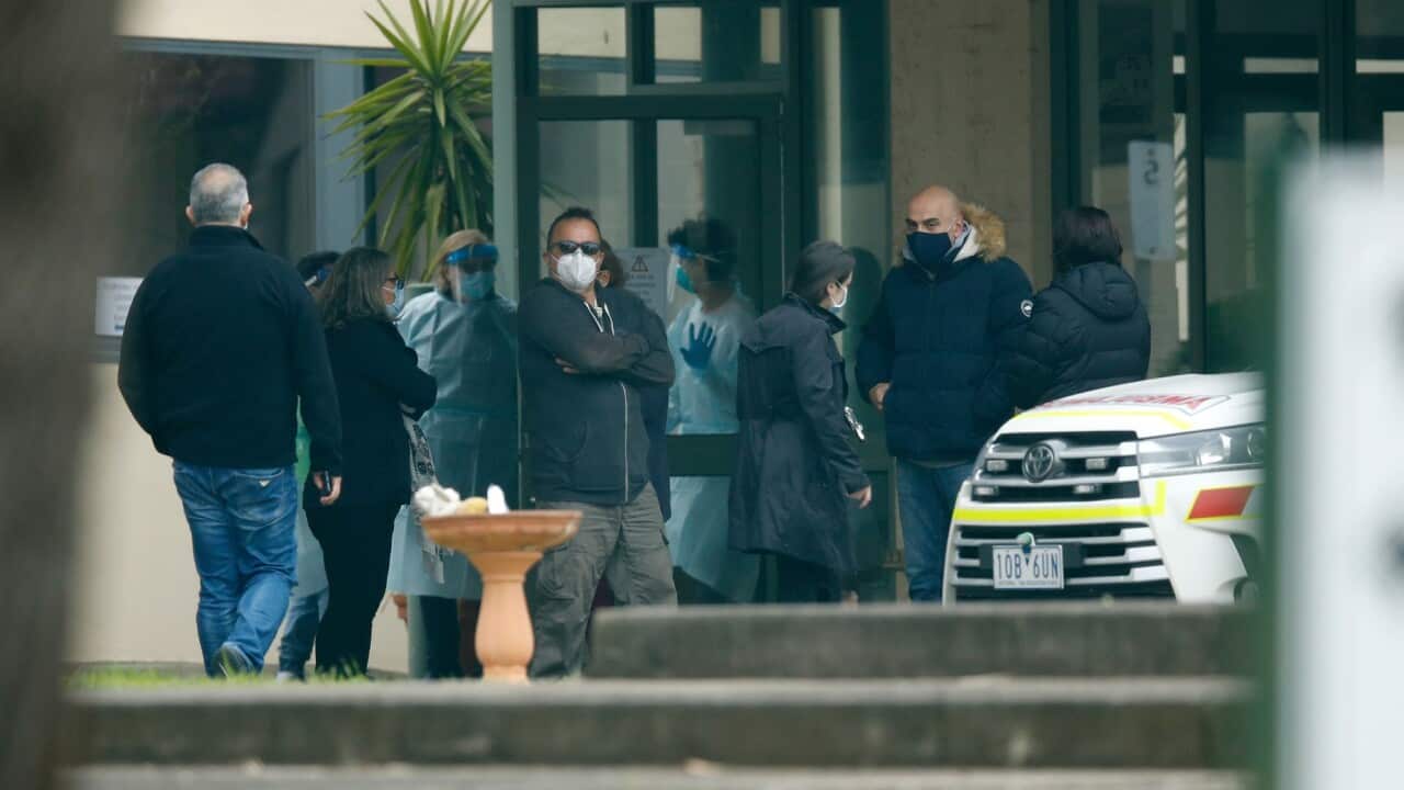 St. Basil's relatives