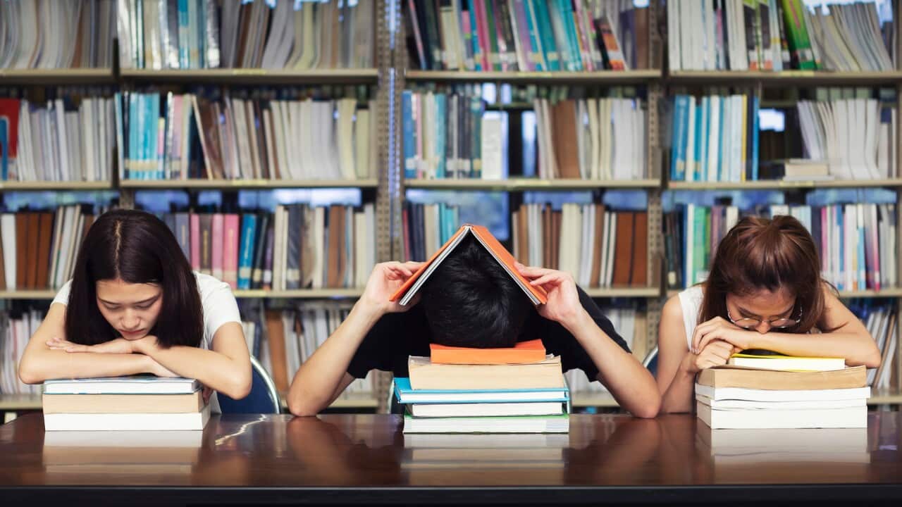 Stressed students in the library