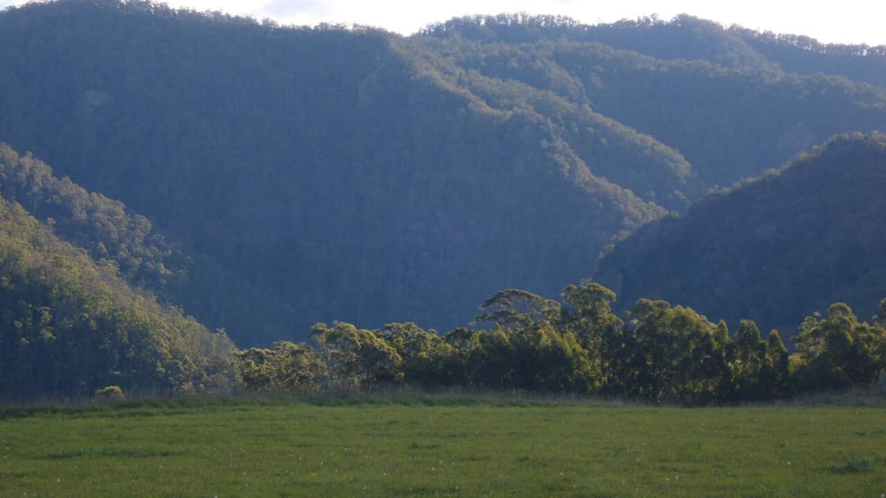 "hippie" culture areas in the northern part of the state of New South Wales, Australia.