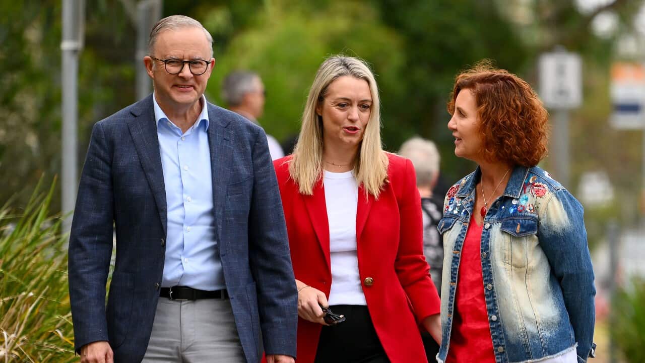 Labor retains seat as Jodie Belyea wins by-election in Dunkley Labor retains seat as Jodie Belyea wins by-election in Dunkley