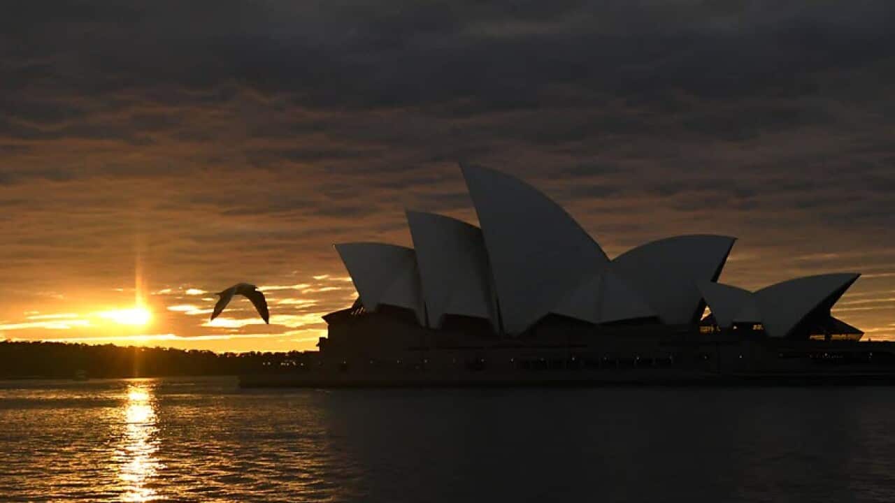 A seagull flies past the Sydney Opera House at dawn in Sydney.