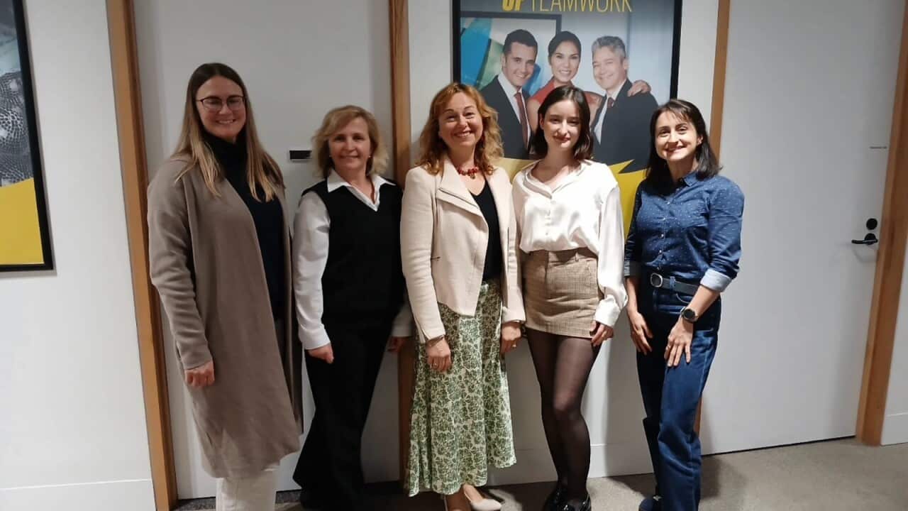 Олена, Оксана Мазур, Олена Радієвська, Ріанна, Анастасія.