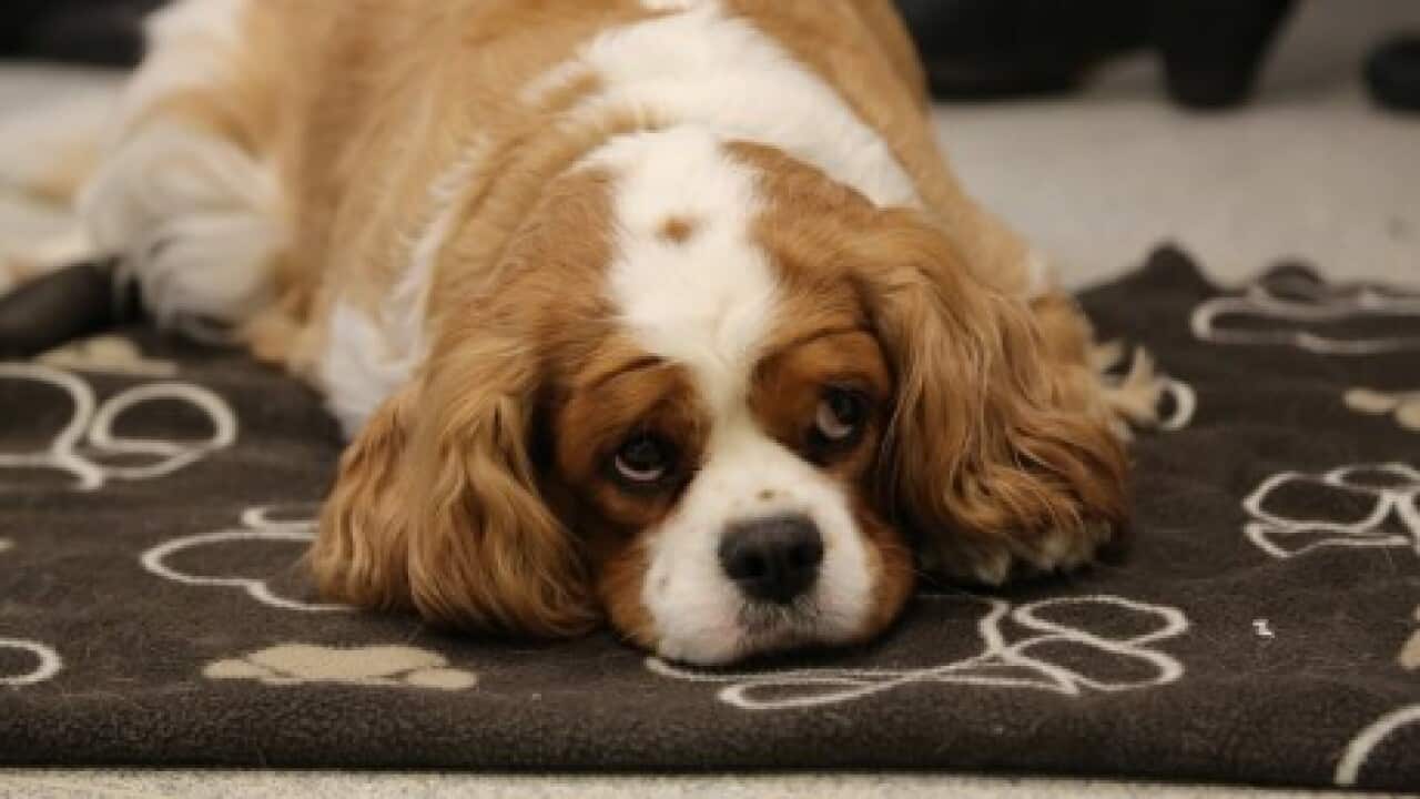 Image for read more article ''