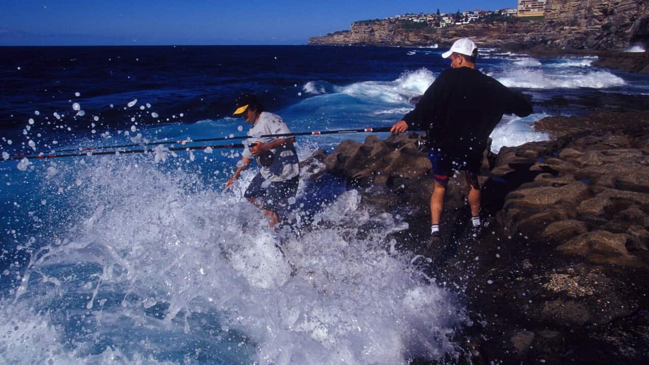 ROCK FISHING SYDNEY