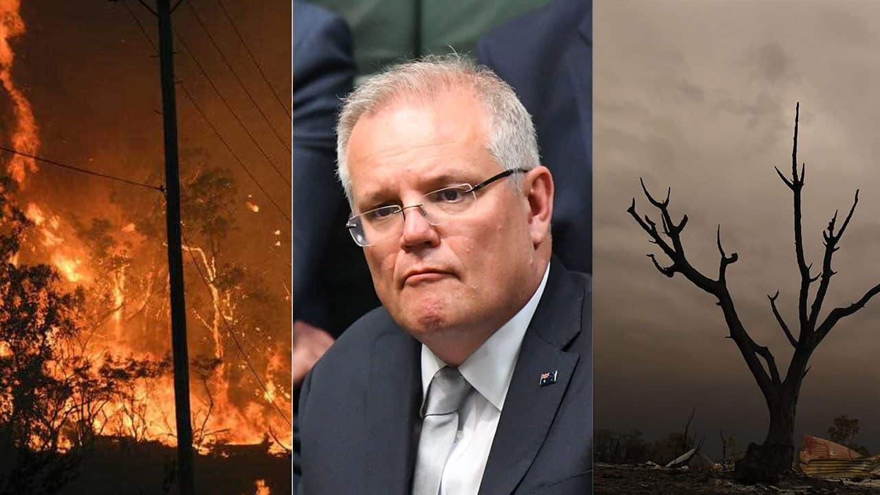 Scott Morrison has called on a royal commission into the bushfires.
