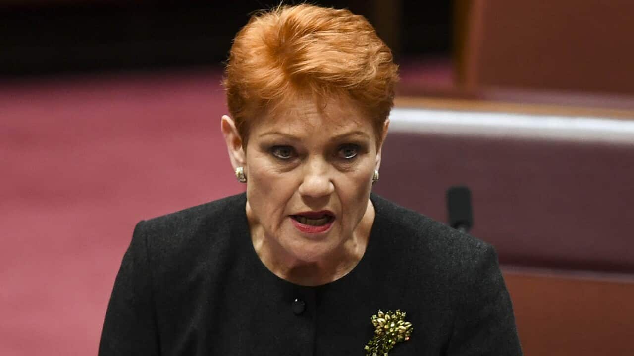 One Nation leader Pauline Hanson in the Senate