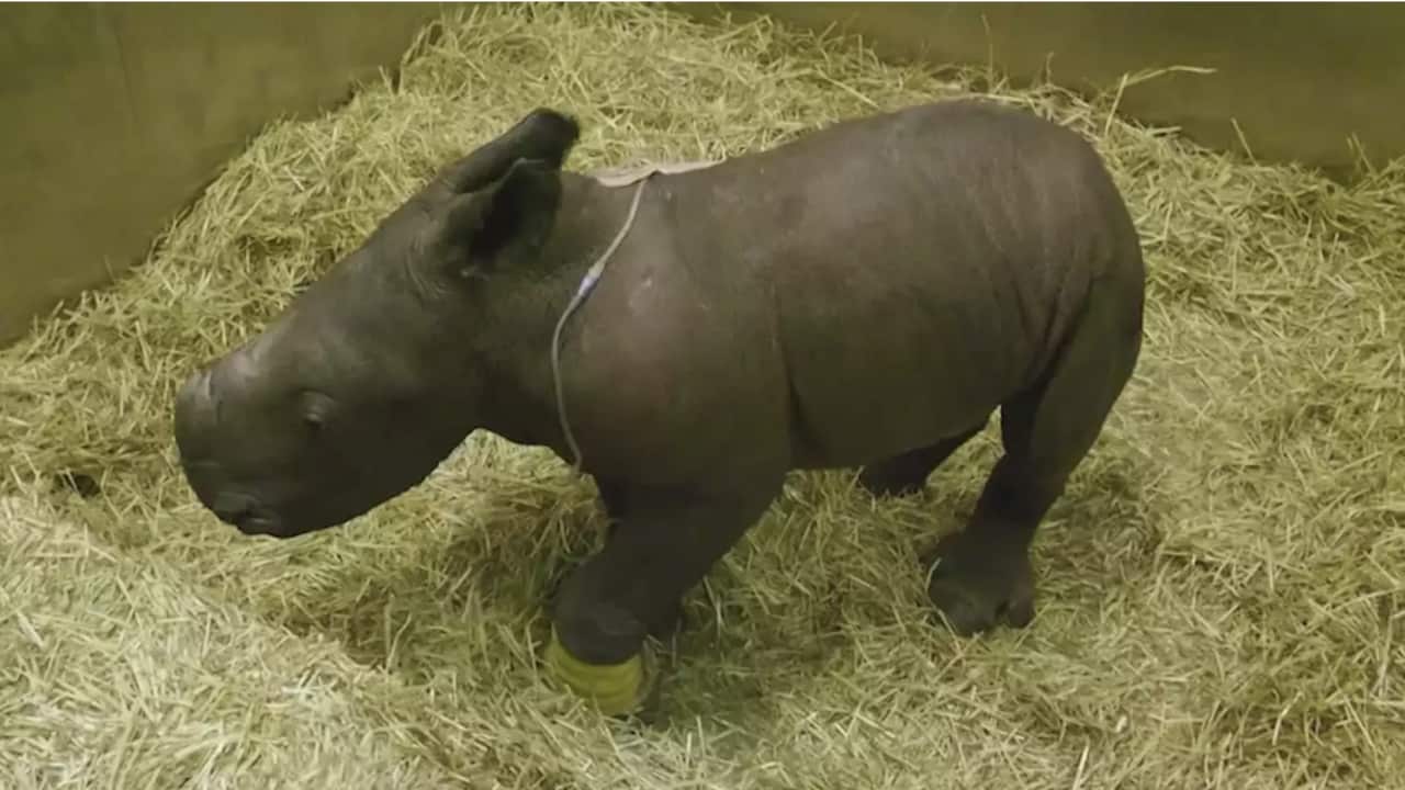 Image for read more article '阅读更多'