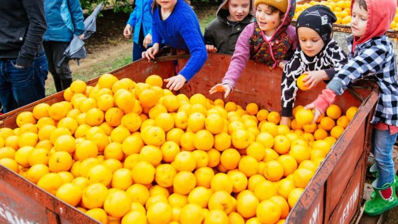 Image for read more article 'Nghe đọc thêm'