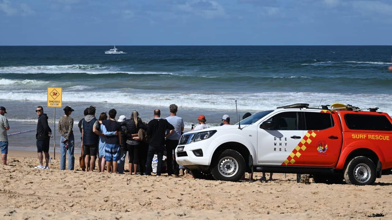 FATAL SHARK ATTACK SYDNEY