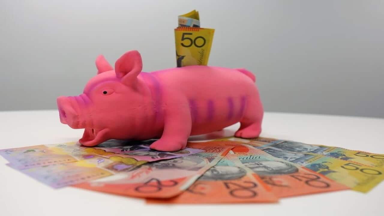 A piggy bank with Australian notes.