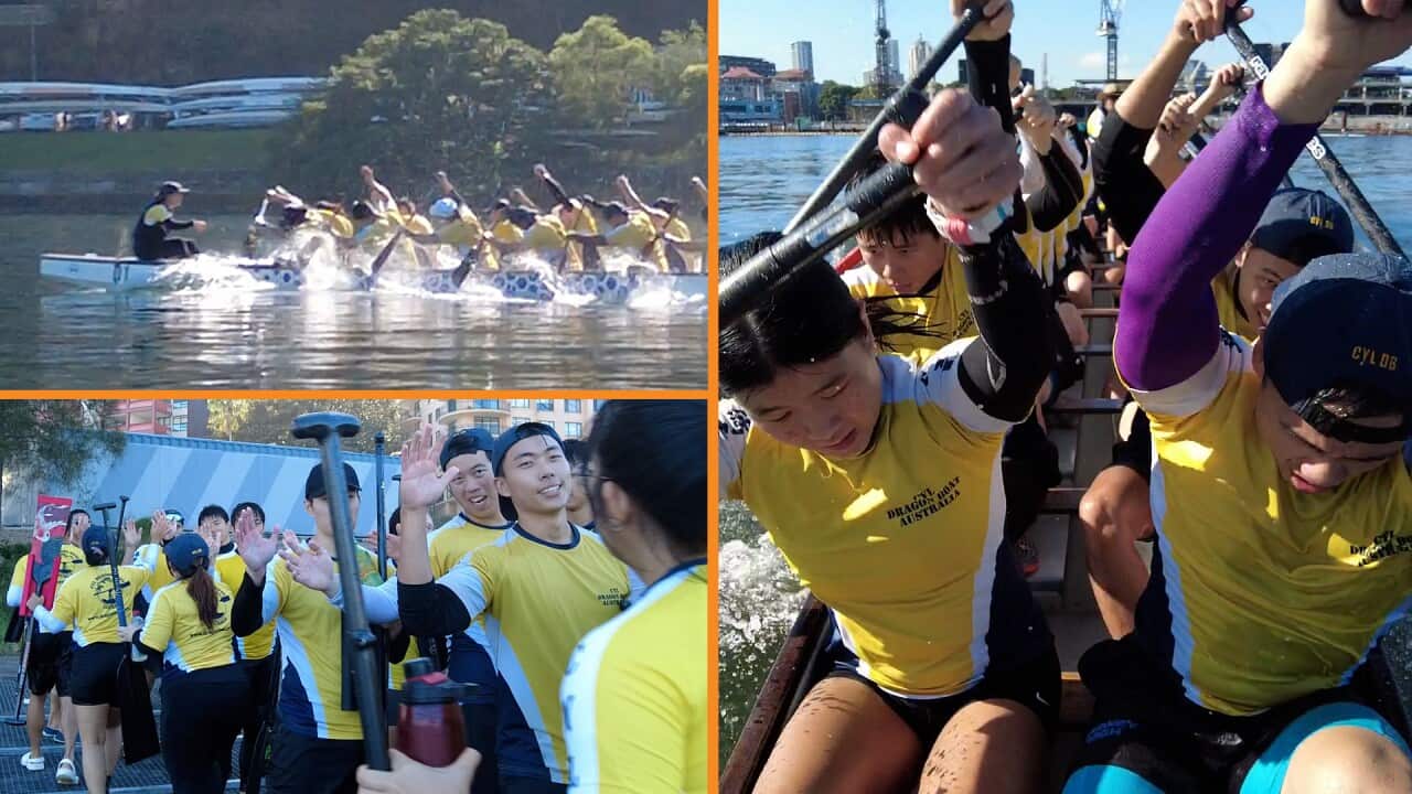 Image for read more article '更多內容'