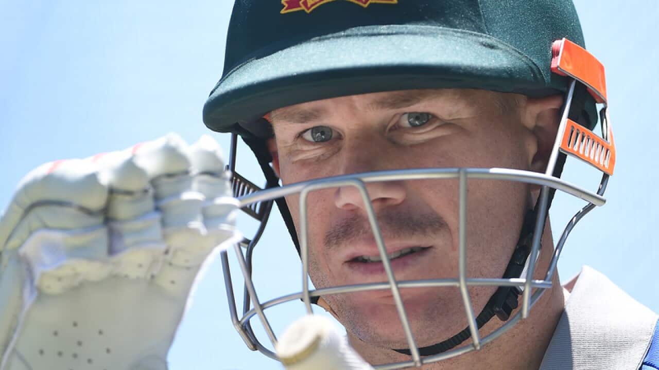 Batsman David Warner.