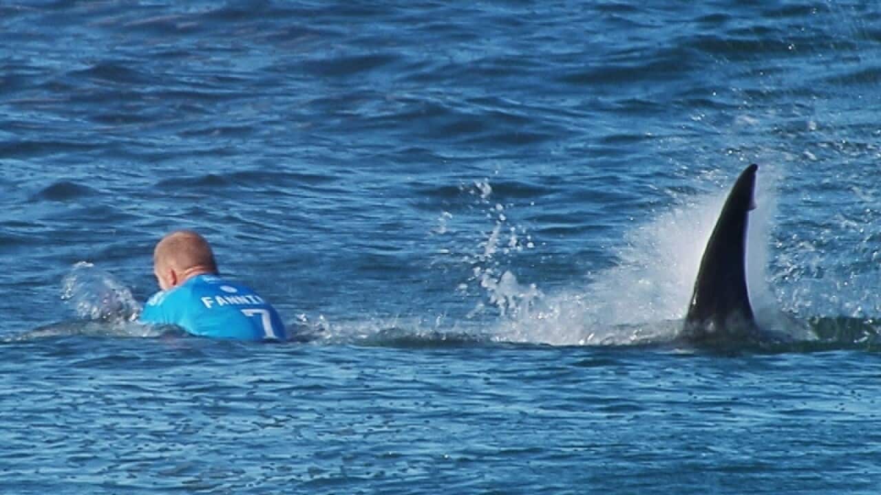 Australian surfer Mick Fanning