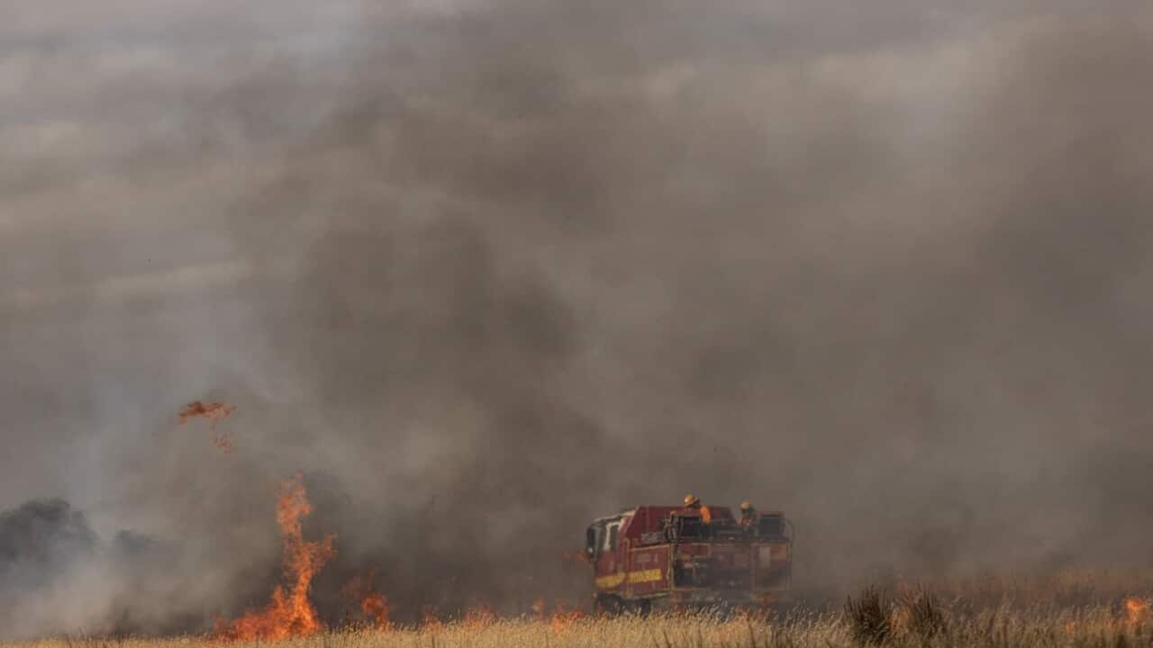 Firefighters conduct back burning on the outskirts of Dunkeld at Grampians National Park in Victoria on 30 January, 2025..jpg