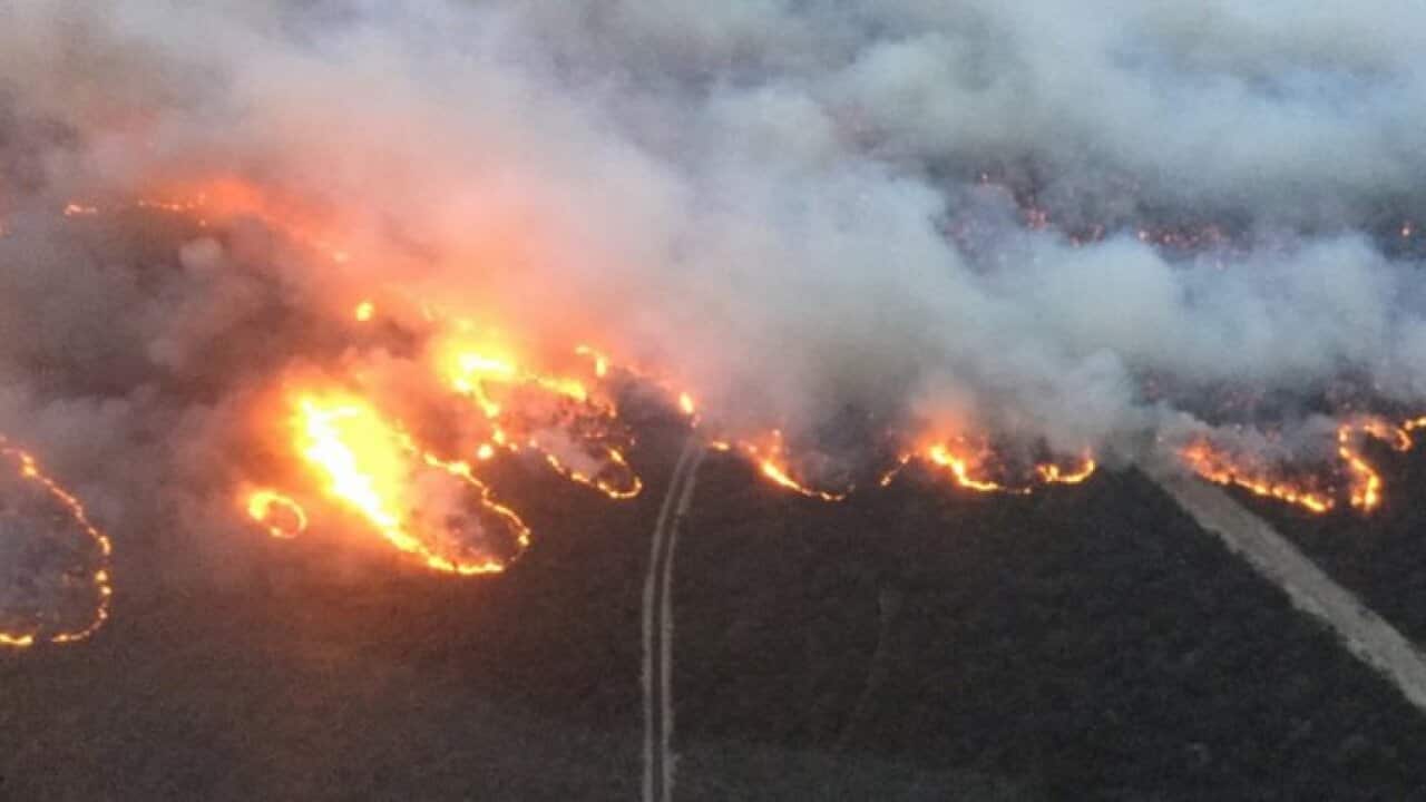 Image for read more article ''