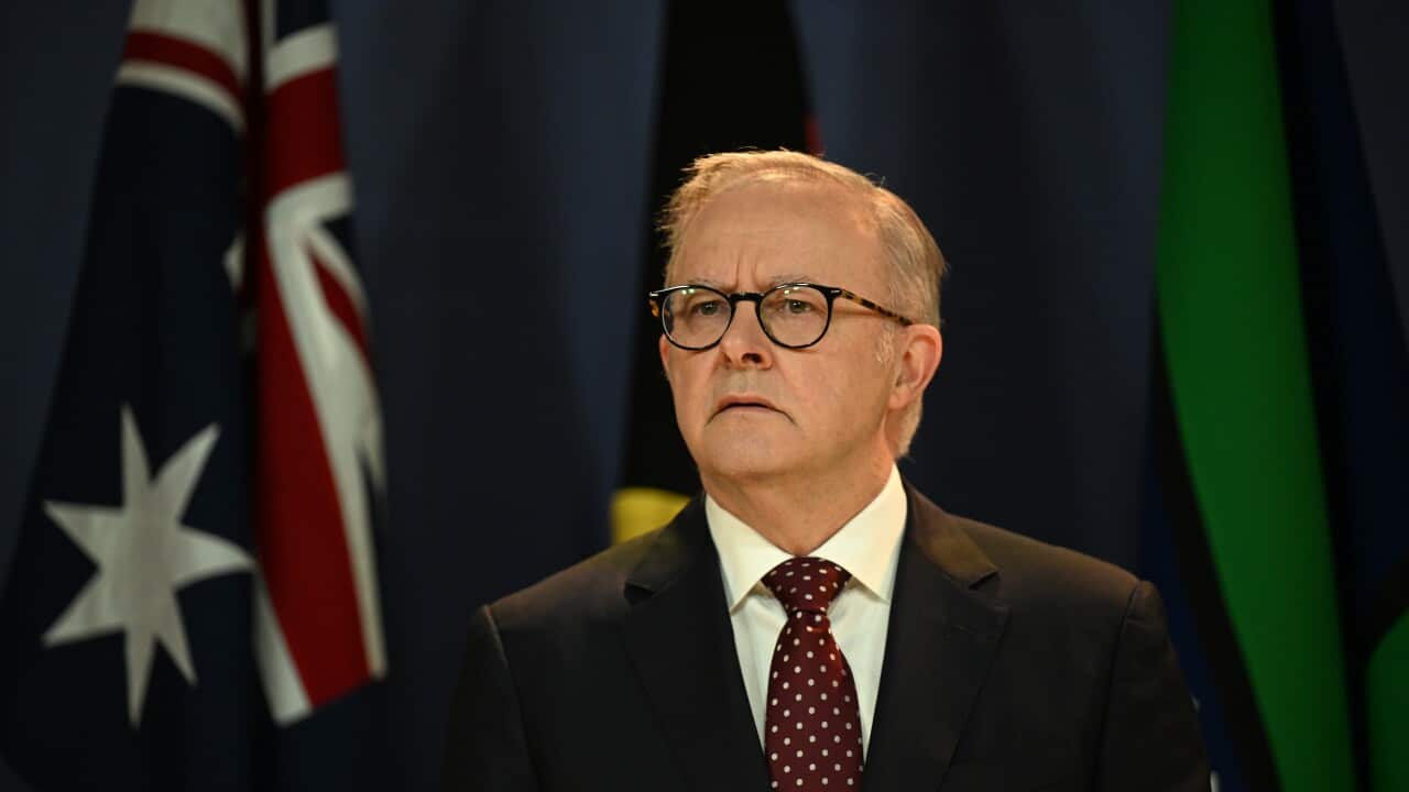 ANTHONY ALBANESE PRESSER