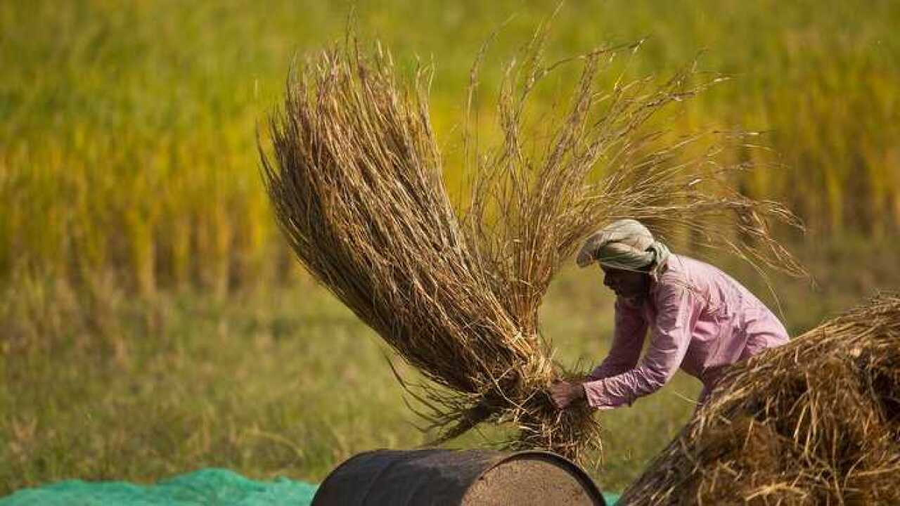 Farming