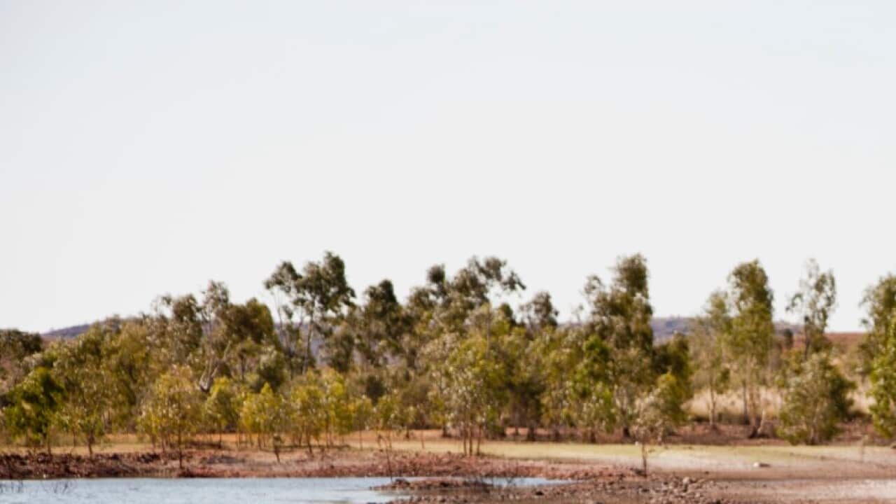 Settlement Guide: Evaluate your risk: How to prepare for and survive floods in a wet summer