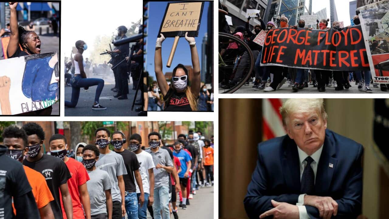 protests on Floyd's death _ Trump _ SBS Sinhala world news wrap
