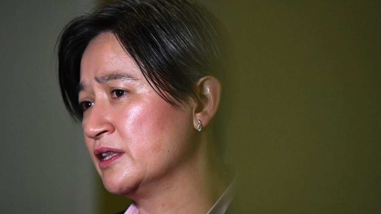 Shadow Minister for Foreign Affairs Penny Wong