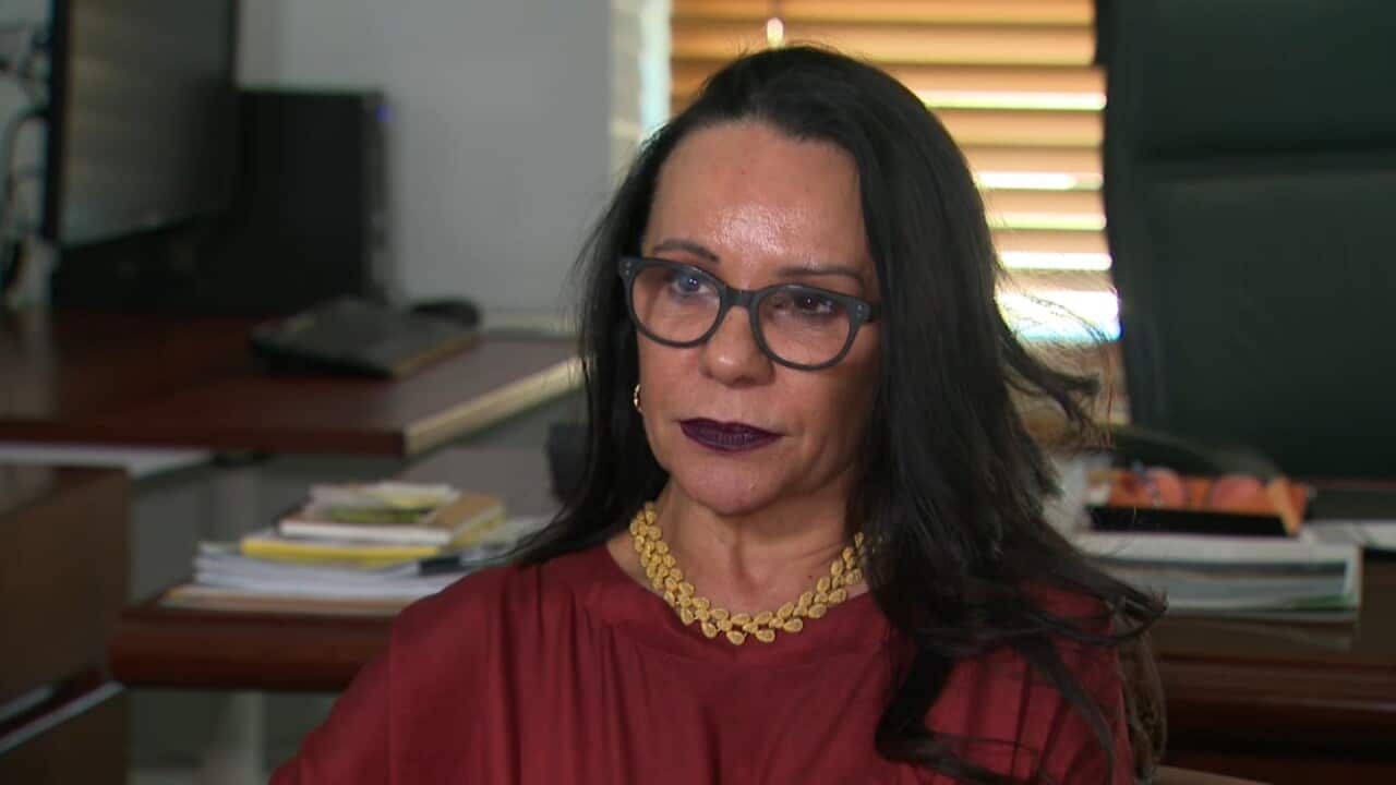 Labor MP Linda Burney says the federal government should seek to re-negotiate with the person who holds the copyright for the Aboriginal flag.
