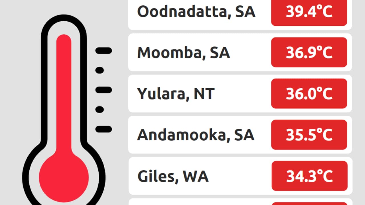 Image for read more article 'READ MORE'