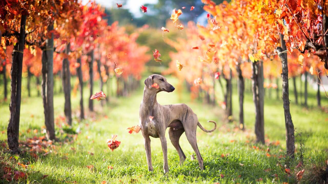 Image for read more article ''