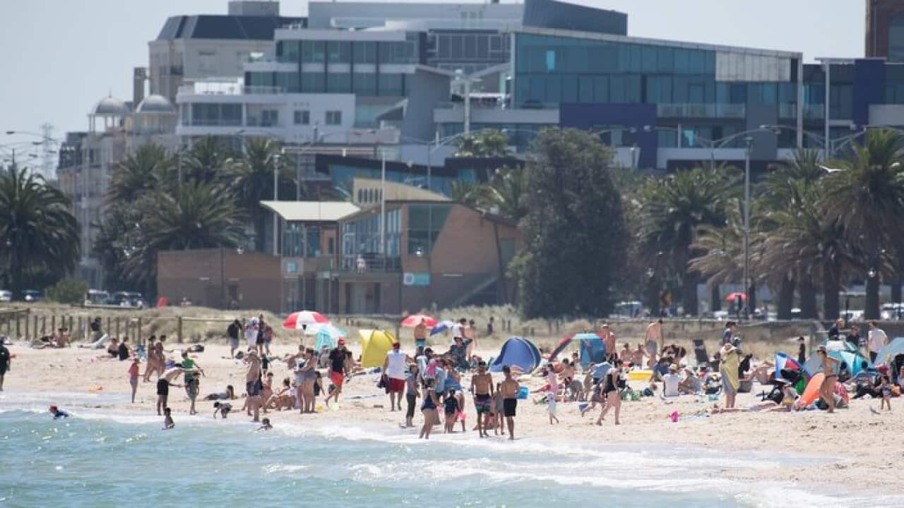 热浪逼人】澳洲东南部气温高升| SBS Chinese