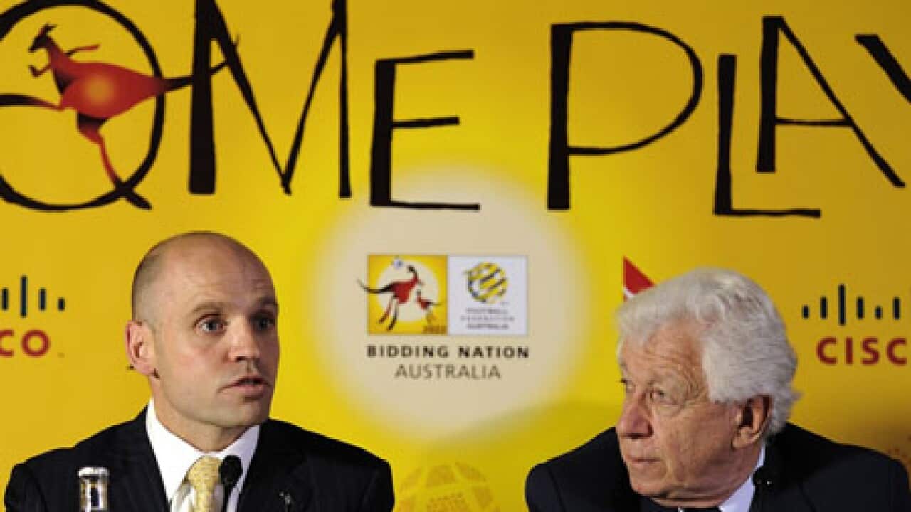 lowyarbib_B_730276438