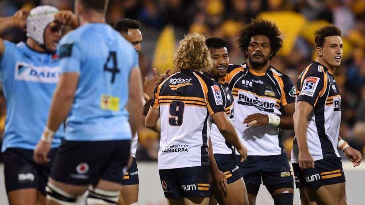 Brumbies