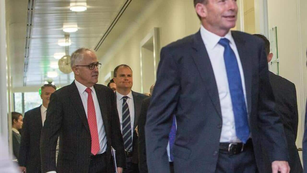 TURNBULL AND ABBOTT