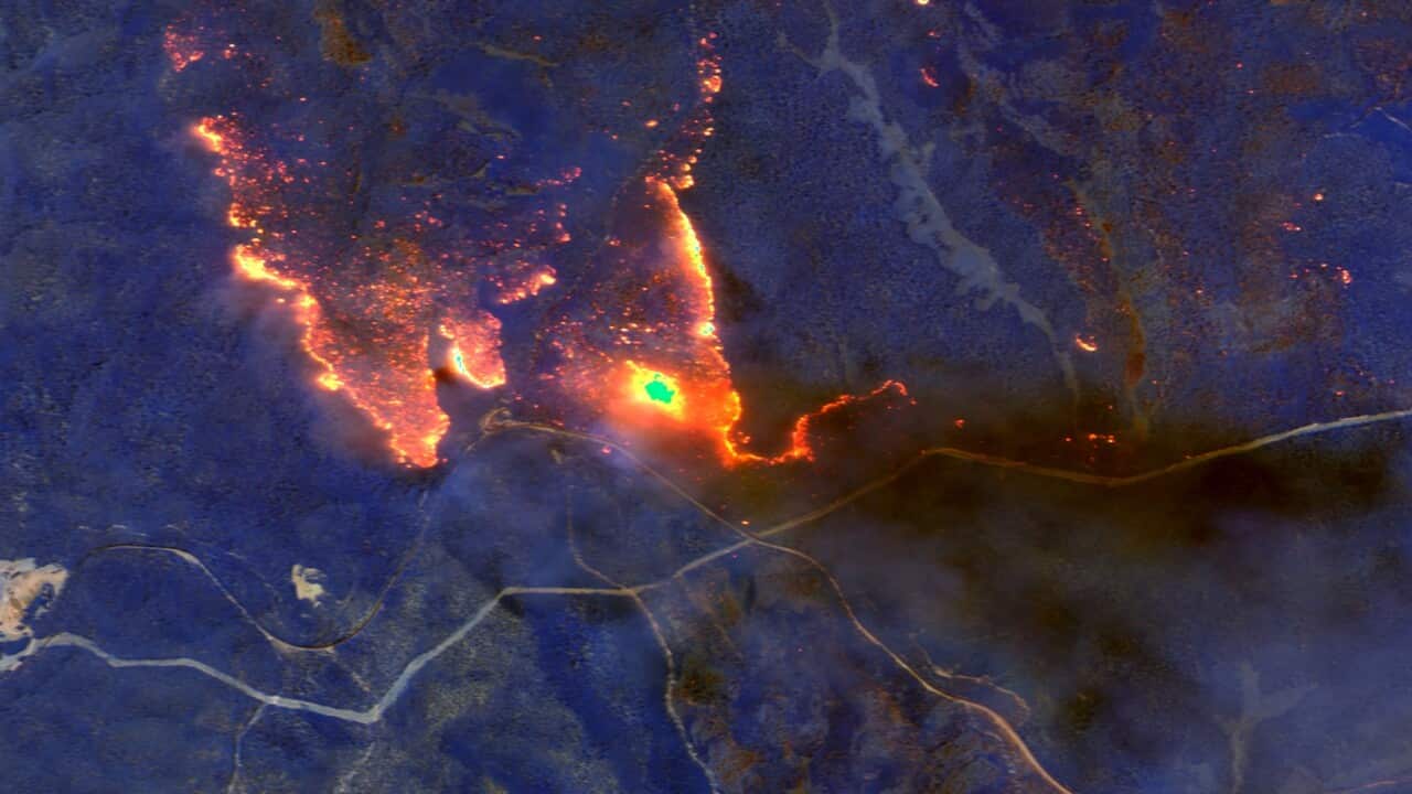 bushfires