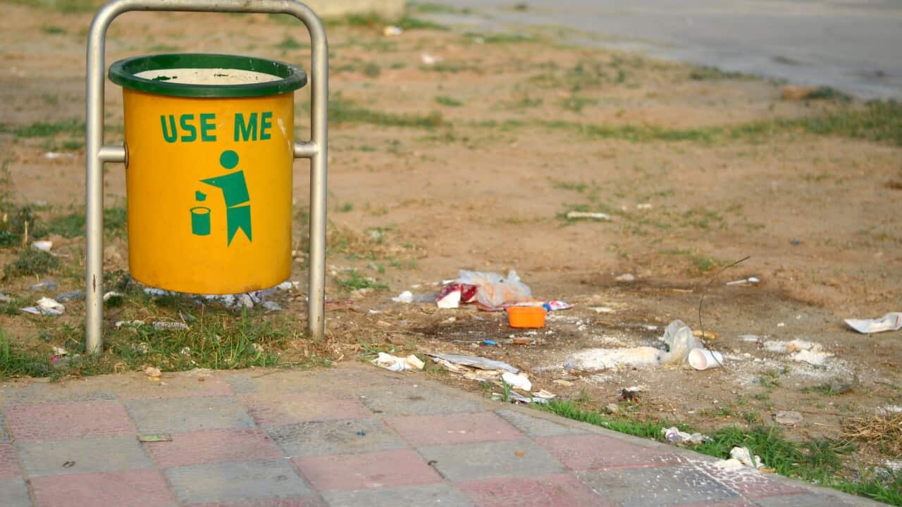 Throw your garbage at the right place