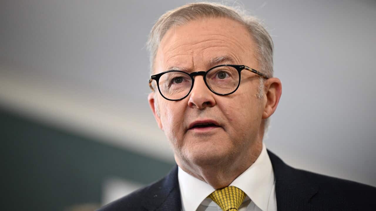 ANTHONY ALBANESE SYDNEY PRESSER