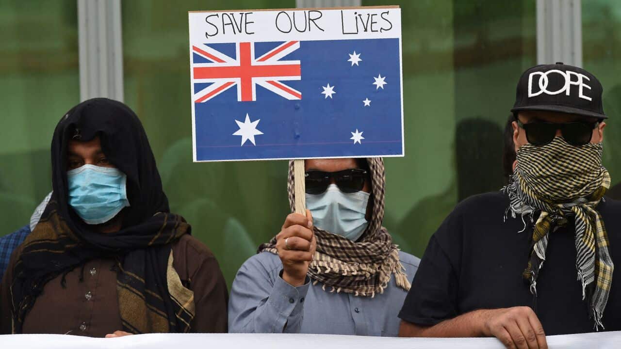 1400 Australia's emergency visas issued to Afghan nationals have expired without being used