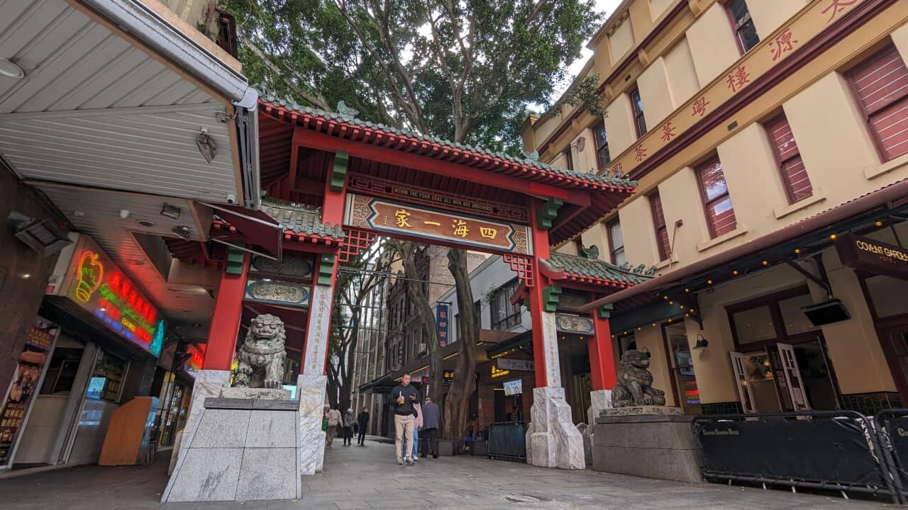 Image for read more article '振興唐人街計劃追蹤報道'