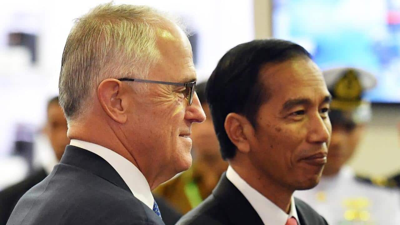 Turnbull Jokowi