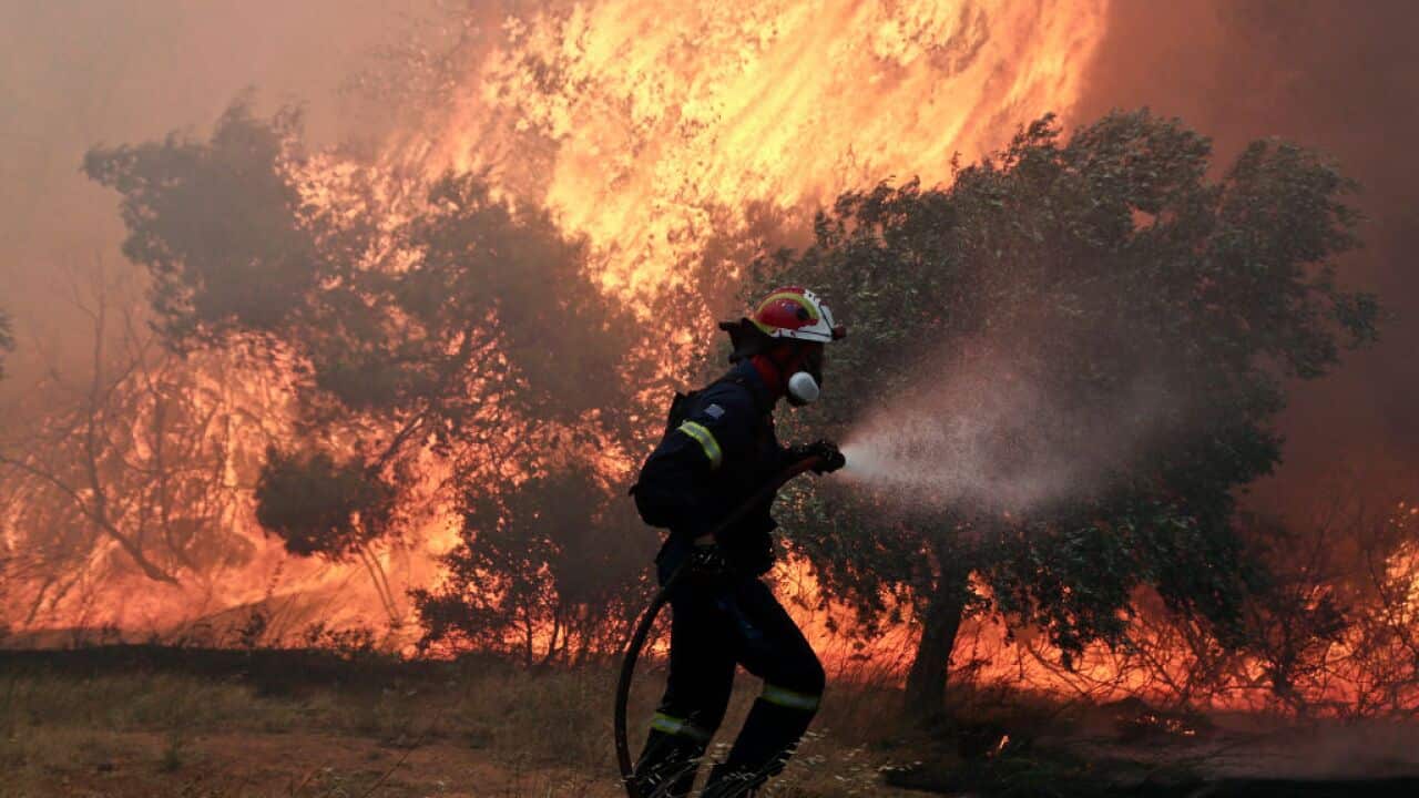 Wildfire In Greece