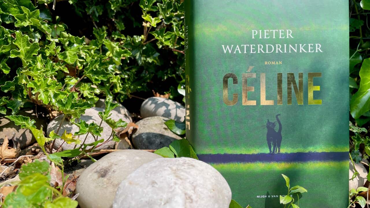 Astrids boekencast celine.jpg