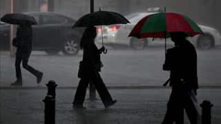 People holding umbrellas walk along a footpath.