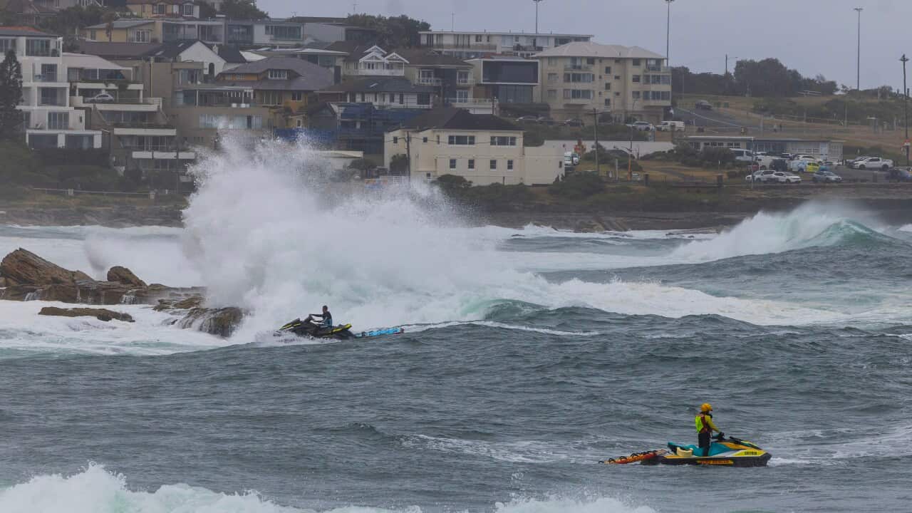 MISSING SWIMMER COOGEE