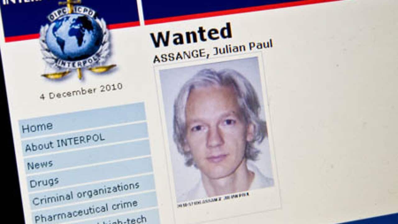 julian_assange_101205_L_g_474048468