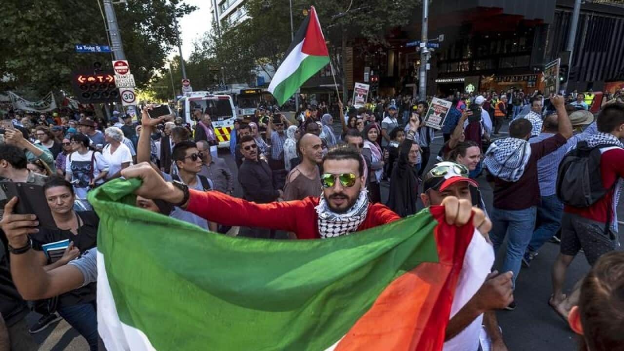 Pro-Palestine demonstrators.