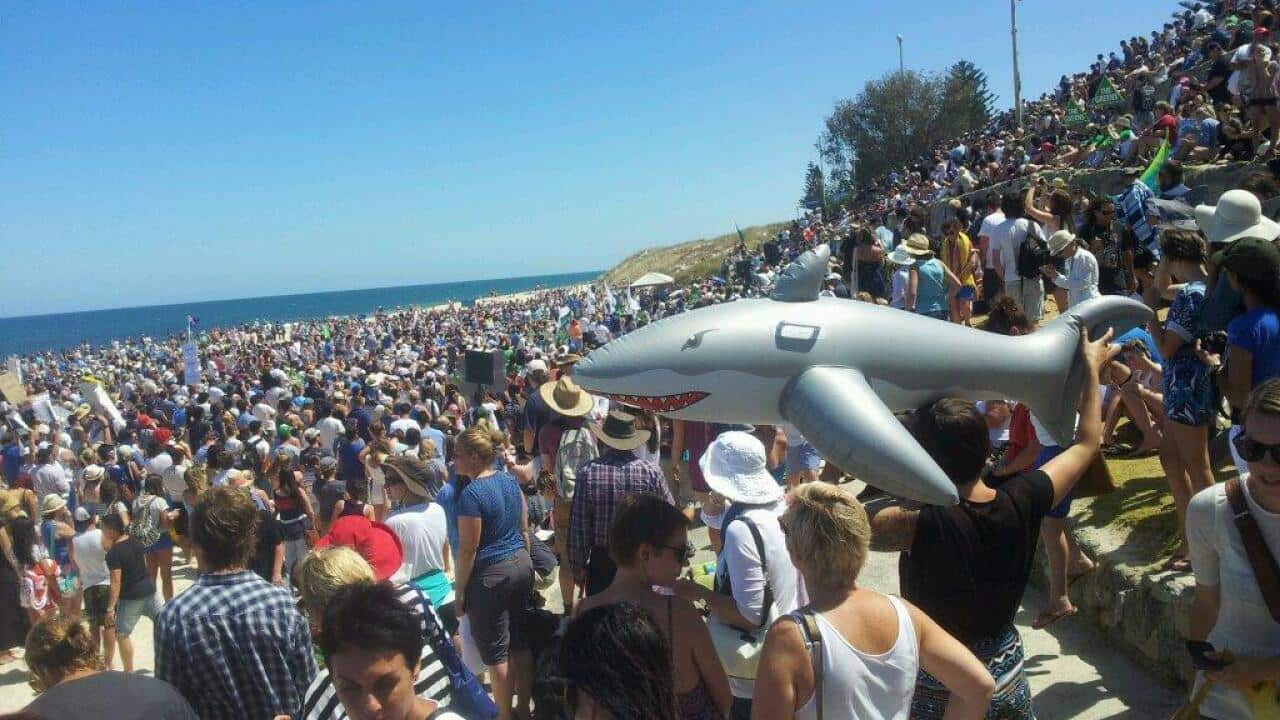 shark_protest_wa_ryanemery_sbs.jpg