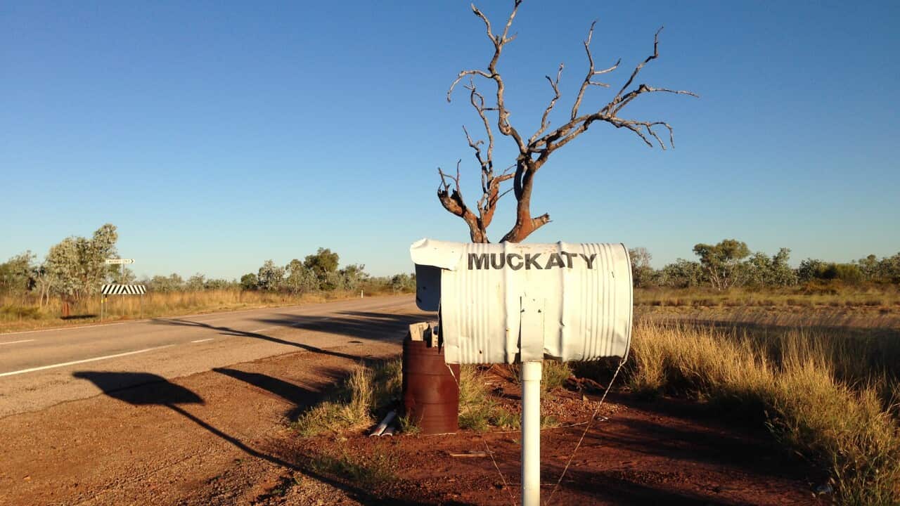 muckaty_road_aap.jpg